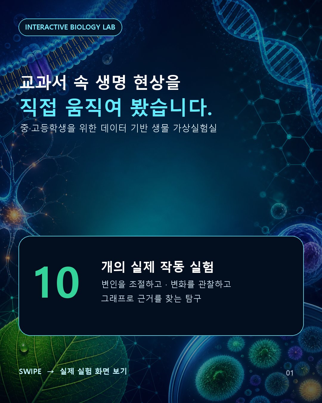 01-cover.jpg