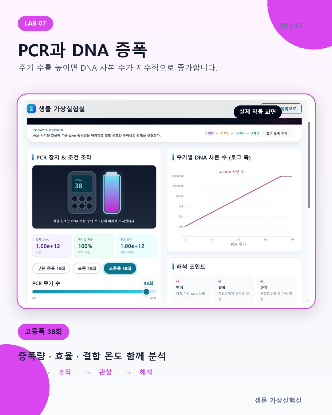 08-pcr.jpg