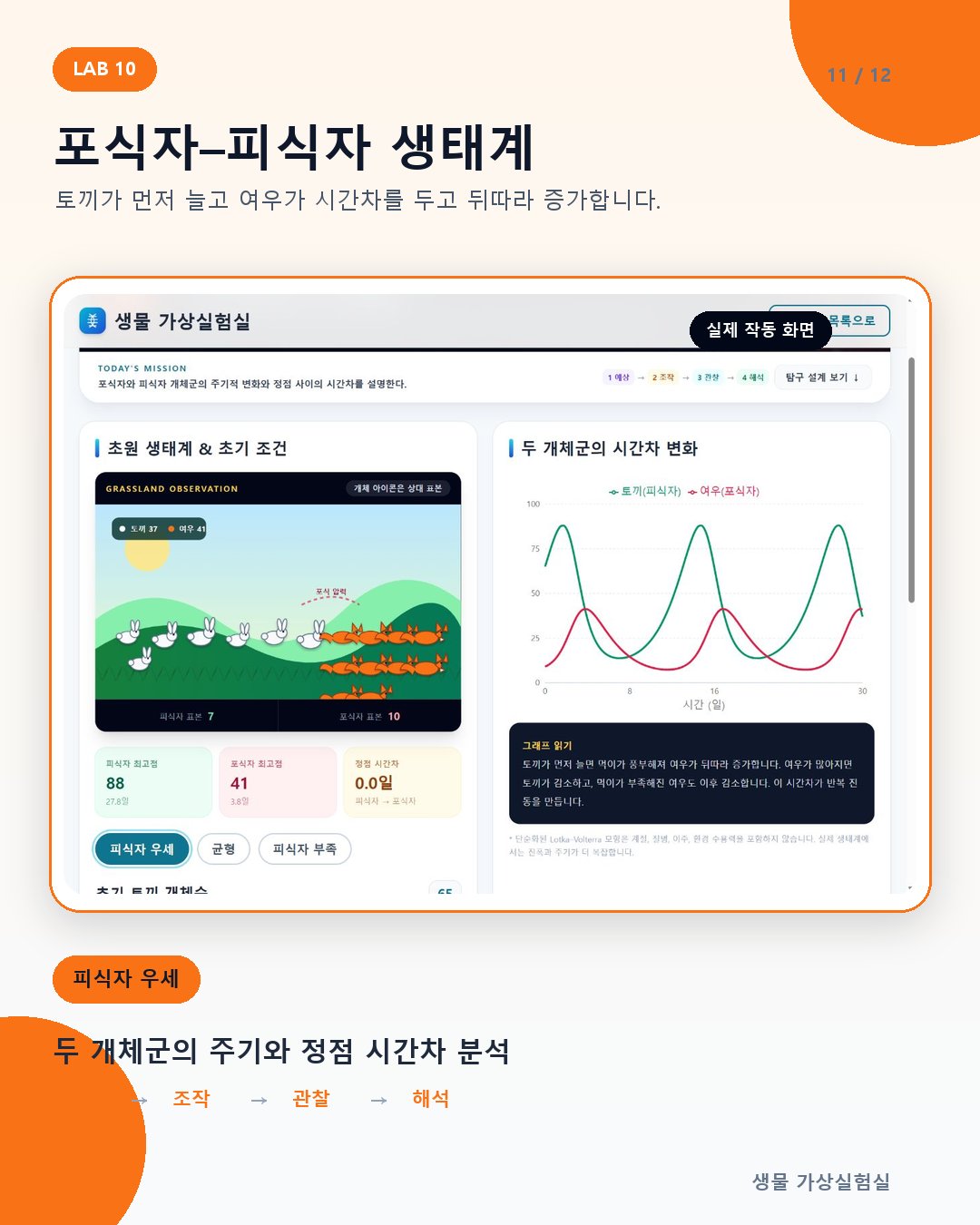 11-ecosystem.jpg