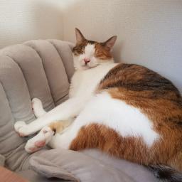 @할로매쓰
