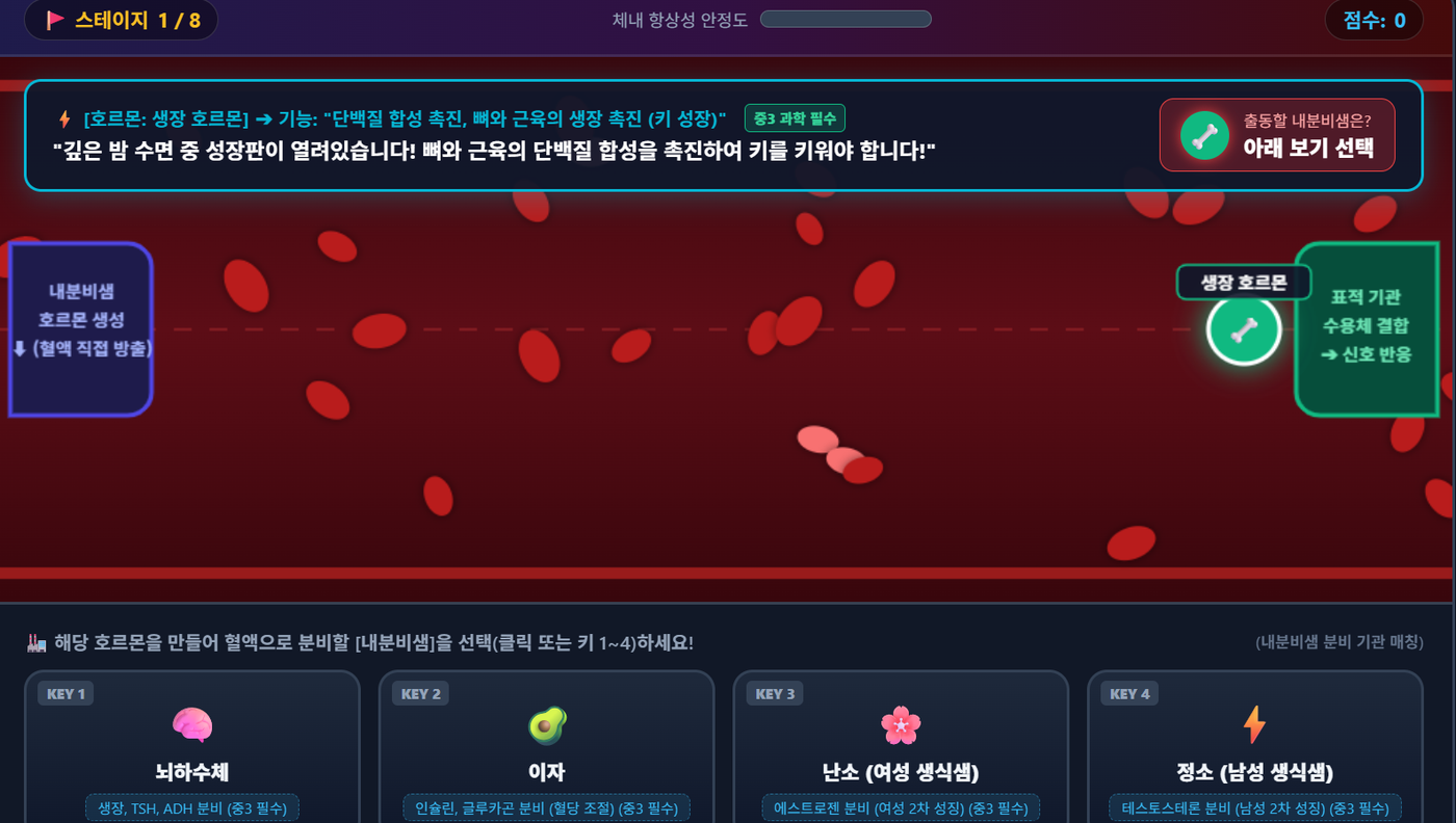 호르몬 익스프레스