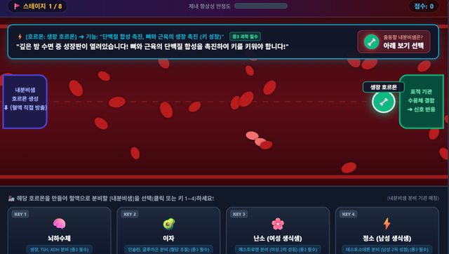호르몬 익스프레스